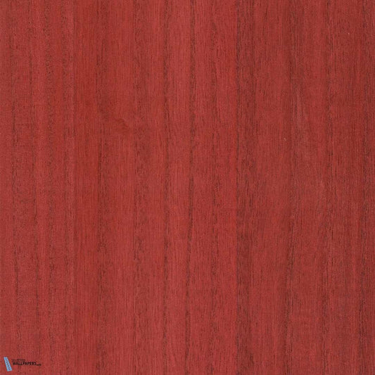 Paulownia - Wood Veneer Wallpaper - Goji Berry