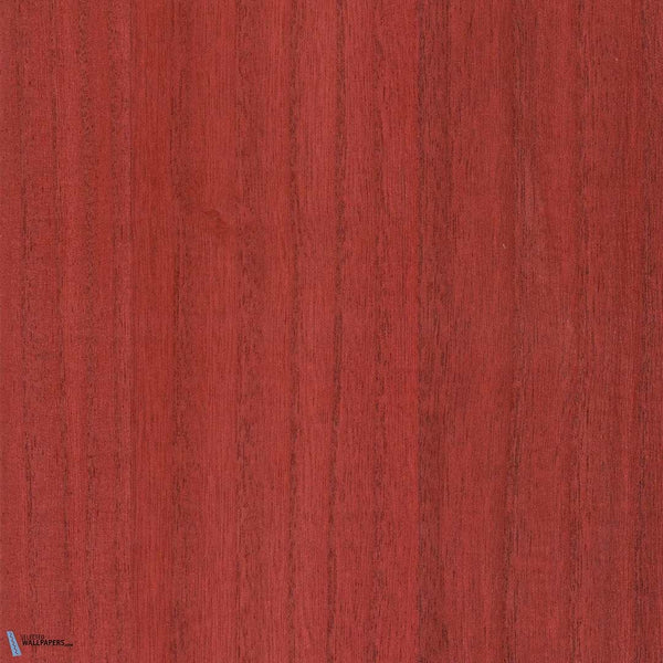 Sample - Paulownia - Wood Veneer Wallpaper - Goji Berry