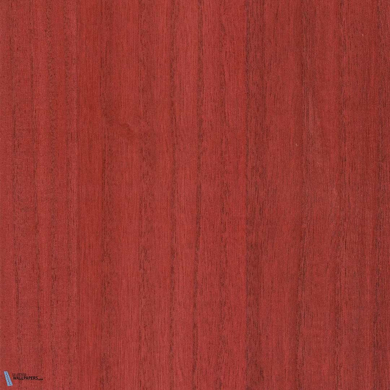 Paulownia - Wood Veneer Wallpaper - Goji Berry