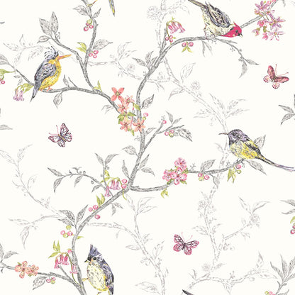 Phoebe - Birds on Trailing Branches Wallpaper - White - Discontinuing