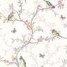 Phoebe - Birds on Trailing Branches Wallpaper - White - Discontinuing