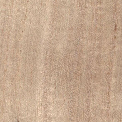 Paulownia - Wood Veneer Wallpaper - Primary Colour