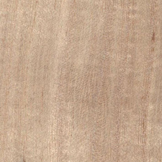 Paulownia - Wood Veneer Wallpaper - Primary Colour