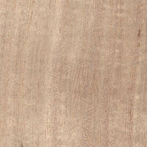 Sample - Paulownia - Wood Veneer Wallpaper - Primary Colour