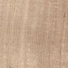 Paulownia - Wood Veneer Wallpaper - Primary Colour