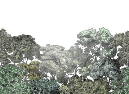 Bellewood Clouds - Green - Custom Sized Wallpaper Mural (per m2)