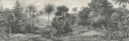 Jungle Land - Vintage - Custom Sized Wallpaper Mural (per m2)