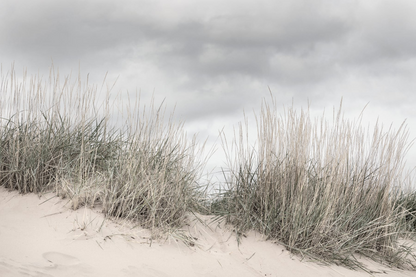 Pale Shore - Custom Sized Wallpaper Mural (per m2)