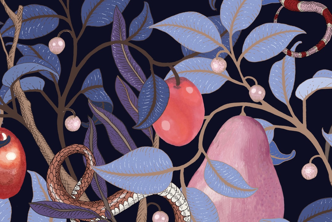 Fruit Garden Wallpaper - Lilac