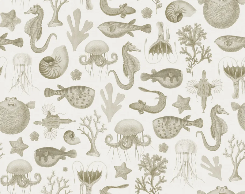 Sea Life Mural Wallpaper - 4 Colours