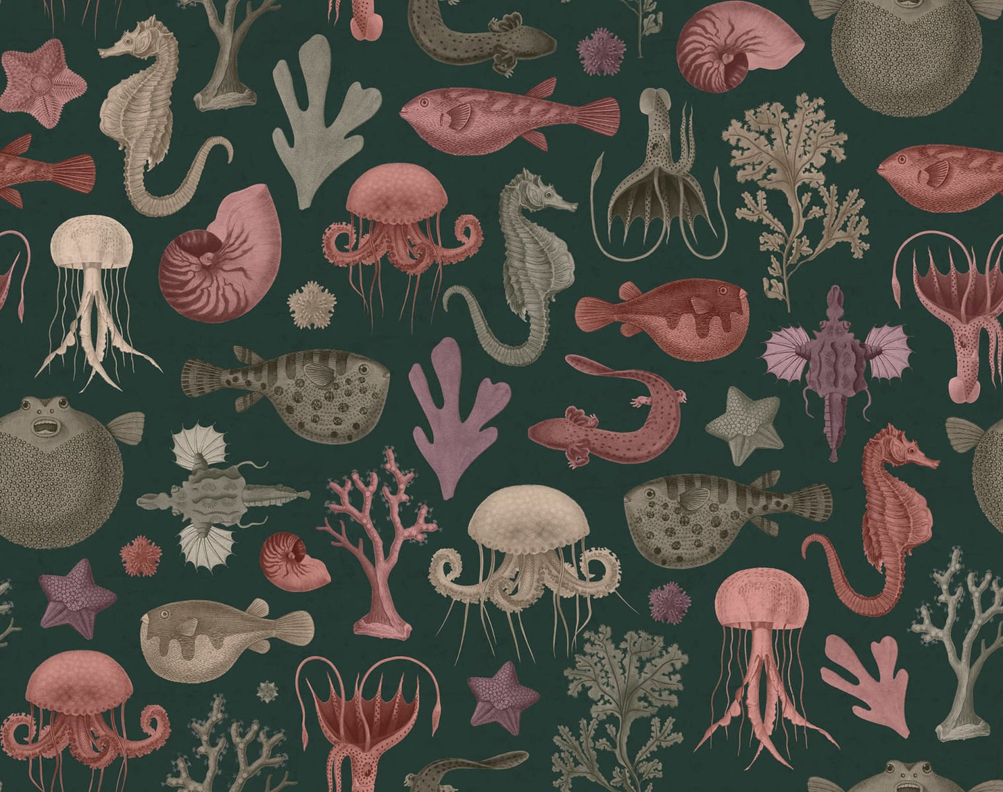 Sea Life - Ocean - Custom Sized Wallpaper Mural (per m2)