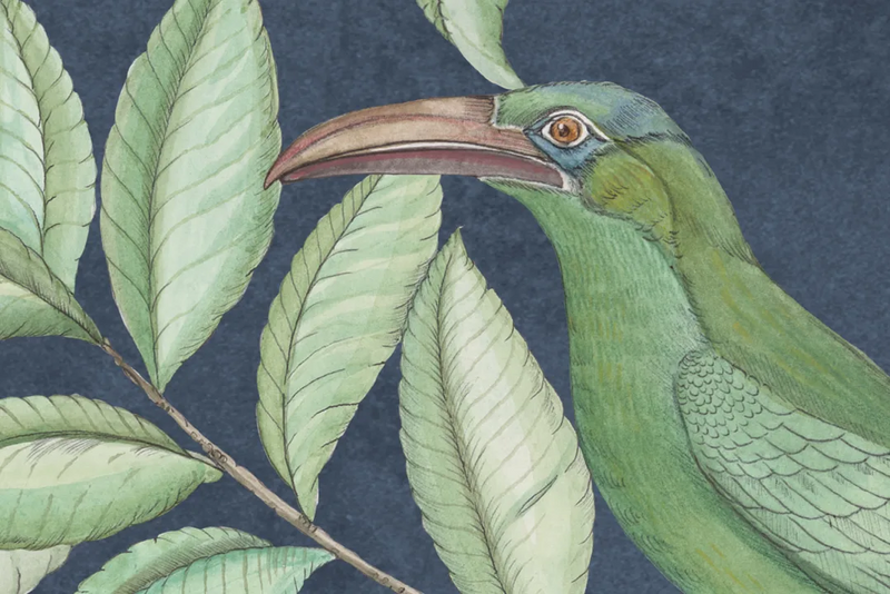 Monkey Paradise Mural Wallpaper
