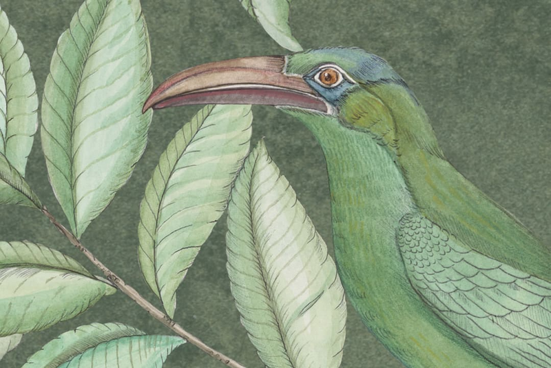 Monkey Paradise Mural Wallpaper