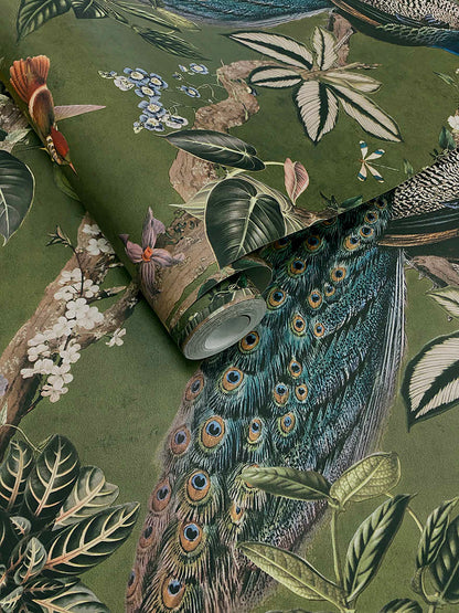 Cassia - Exotic Peacock Wallpaper - Green