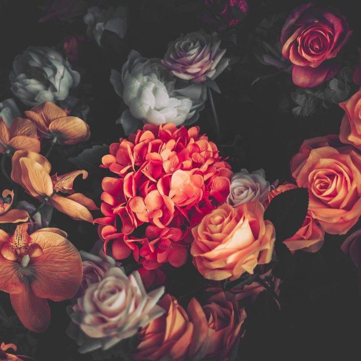 Romantic Flowers - Bloom - Custom Sized Wallpaper Mural (per m2)