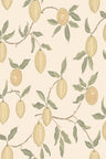 Limone Wallpaper – Yellow