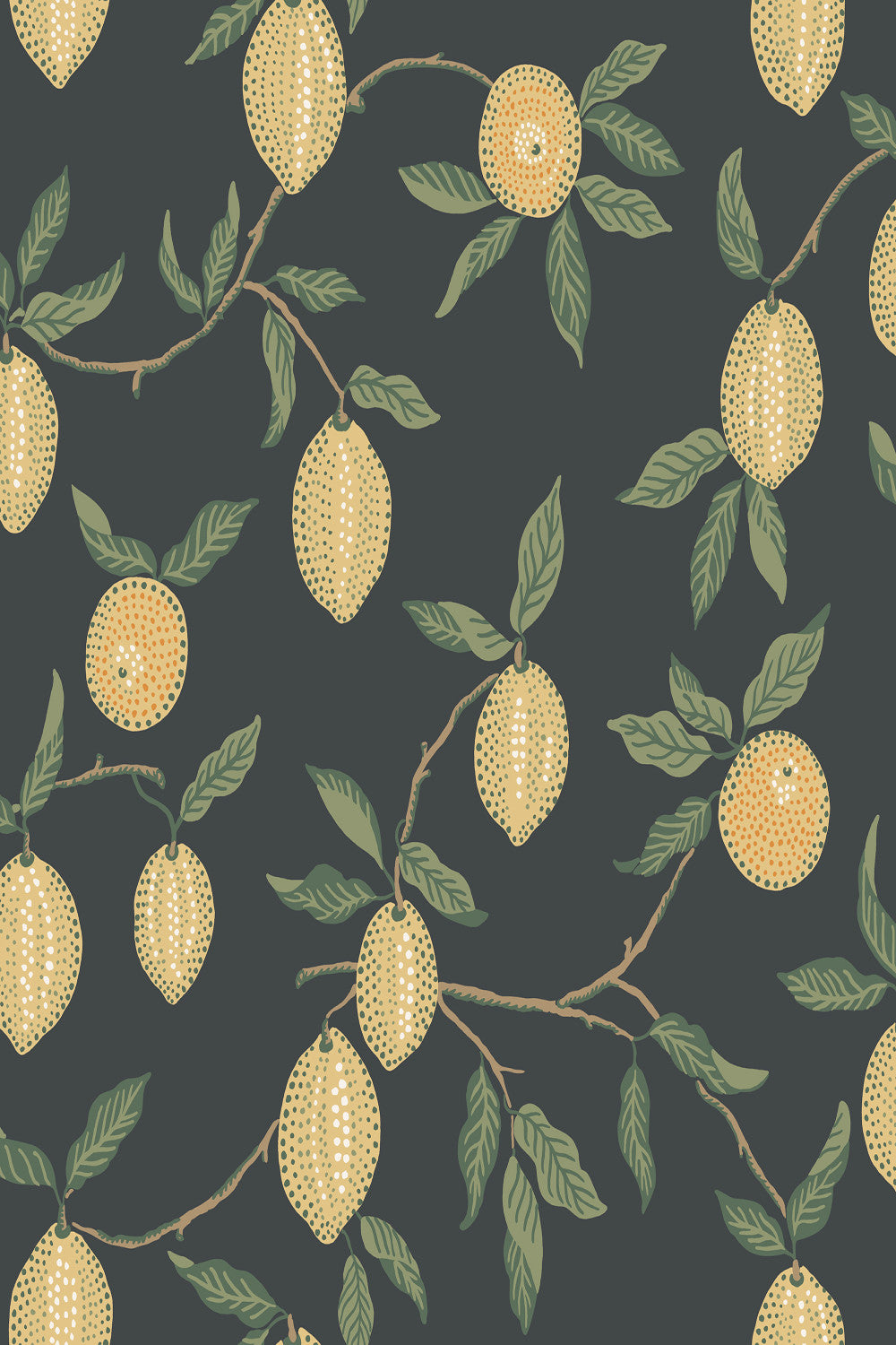 Limone wallpaper in Charcoal, flat pattern