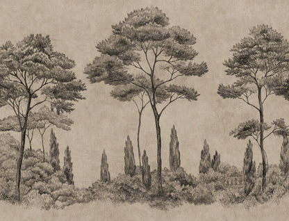 Andrea, Graphite mural pattern