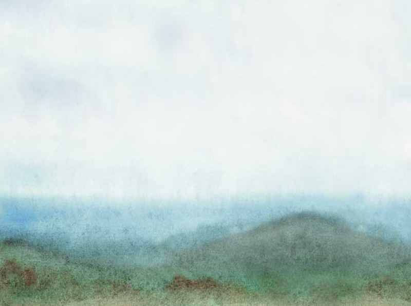 Morning Dew - Custom sized wallpaper mural (per/m2) - Day