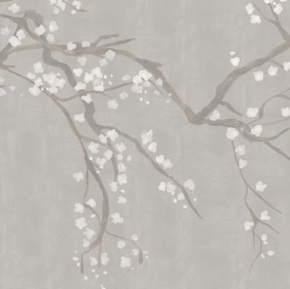 Takeda Cherry Blossom - Custom sized wallpaper mural (per/m2) - Snow