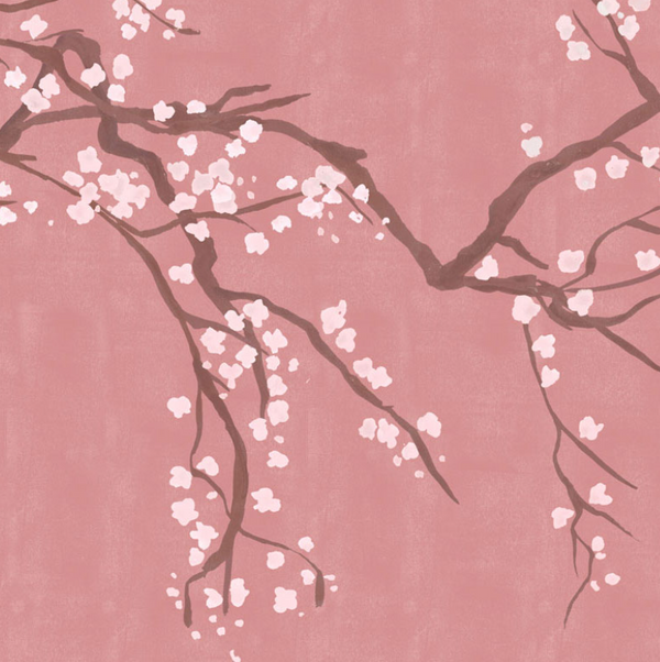 Sample - Takeda Cherry Blossom - Custom sized wallpaper mural (per/m2) - Rose
