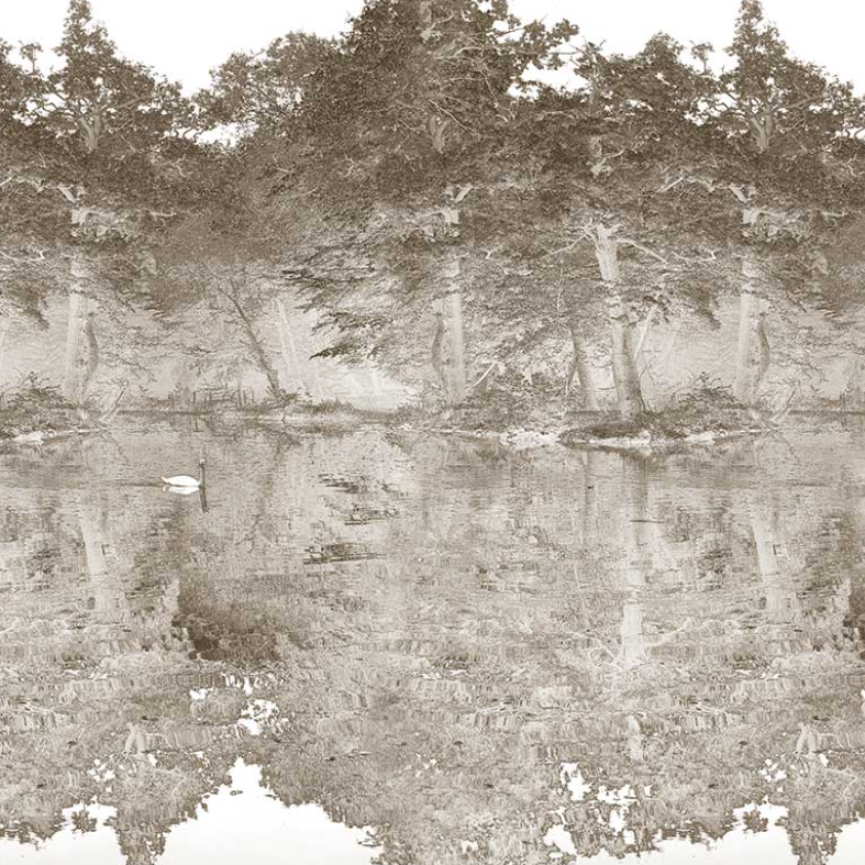 Toile De Jouy - Custom sized wallpaper mural (per/m2) - Chestnut