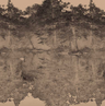 Toile De Jouy - Custom sized wallpaper mural (per/m2) - Charcoal