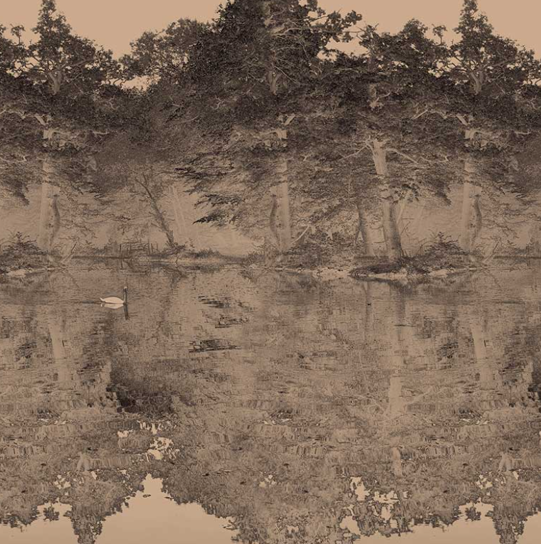 Toile De Jouy - Custom sized wallpaper mural (per/m2) - Charcoal