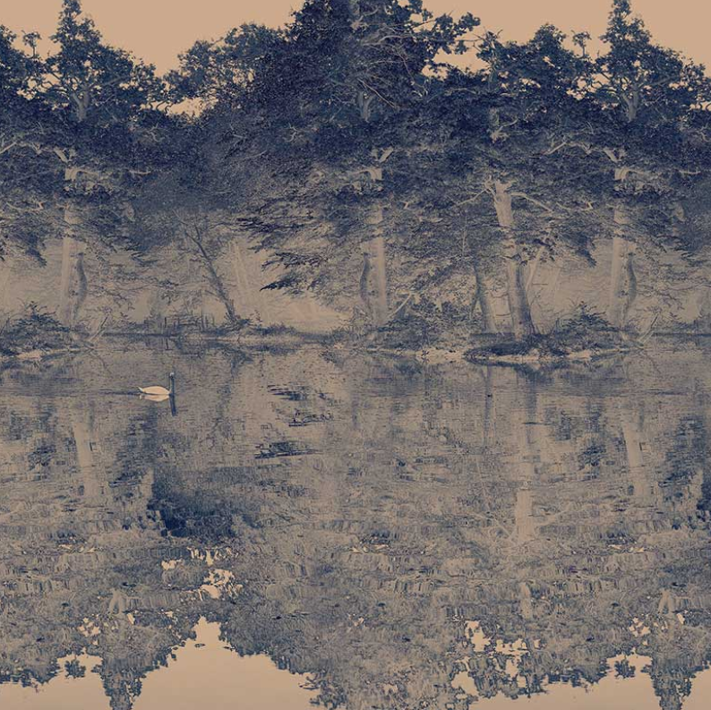 Toile De Jouy - Custom sized wallpaper mural (per/m2) - Blue