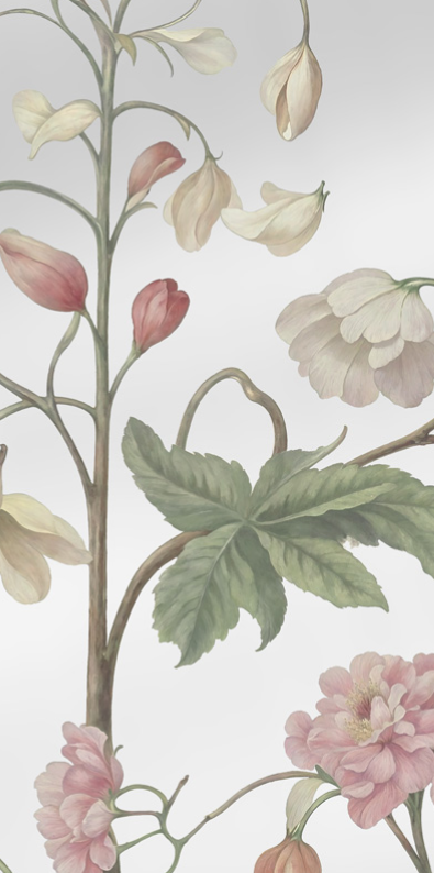 Arboretum Exotic Tropical Garden - Custom sized wallpaper mural (per/m2) - Silver