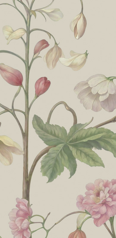 Arboretum Exotic Tropical Garden - Custom sized wallpaper mural (per/m2) - Stone