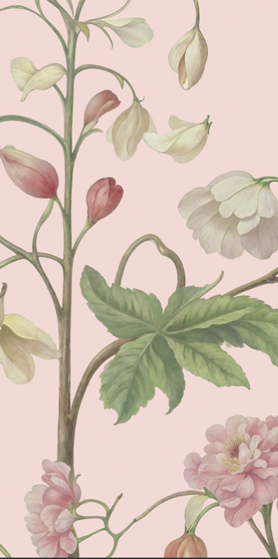 Arboretum Exotic Tropical Garden - Custom sized wallpaper mural (per/m2) - Pink