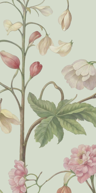 Arboretum Exotic Tropical Garden - Custom sized wallpaper mural (per/m2) - Sage