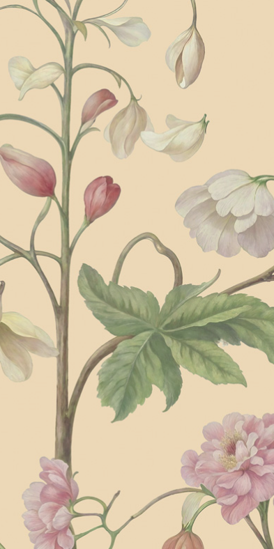 Arboretum Exotic Tropical Garden - Custom sized wallpaper mural (per/m2) - Peach