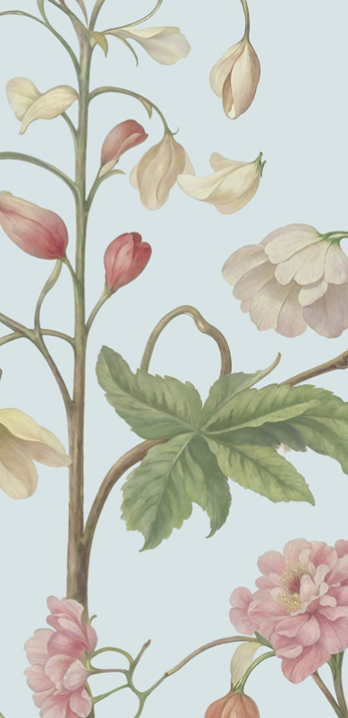 Arboretum Exotic Tropical Garden - Custom sized wallpaper mural (per/m2) - Blue