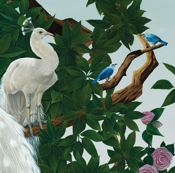 Sample - Vera's Garden - Peacock Wallpaper - Aquamarine