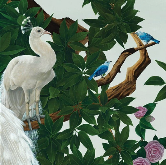 Vera's Garden - Peacock Wallpaper - Jade