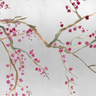 Takeda Cherry Blossom - Custom sized wallpaper mural (per/m2) - Silver