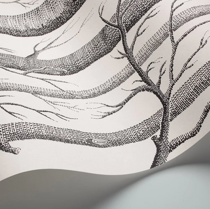 Woods Wallpaper - Cole & Son - Black/White