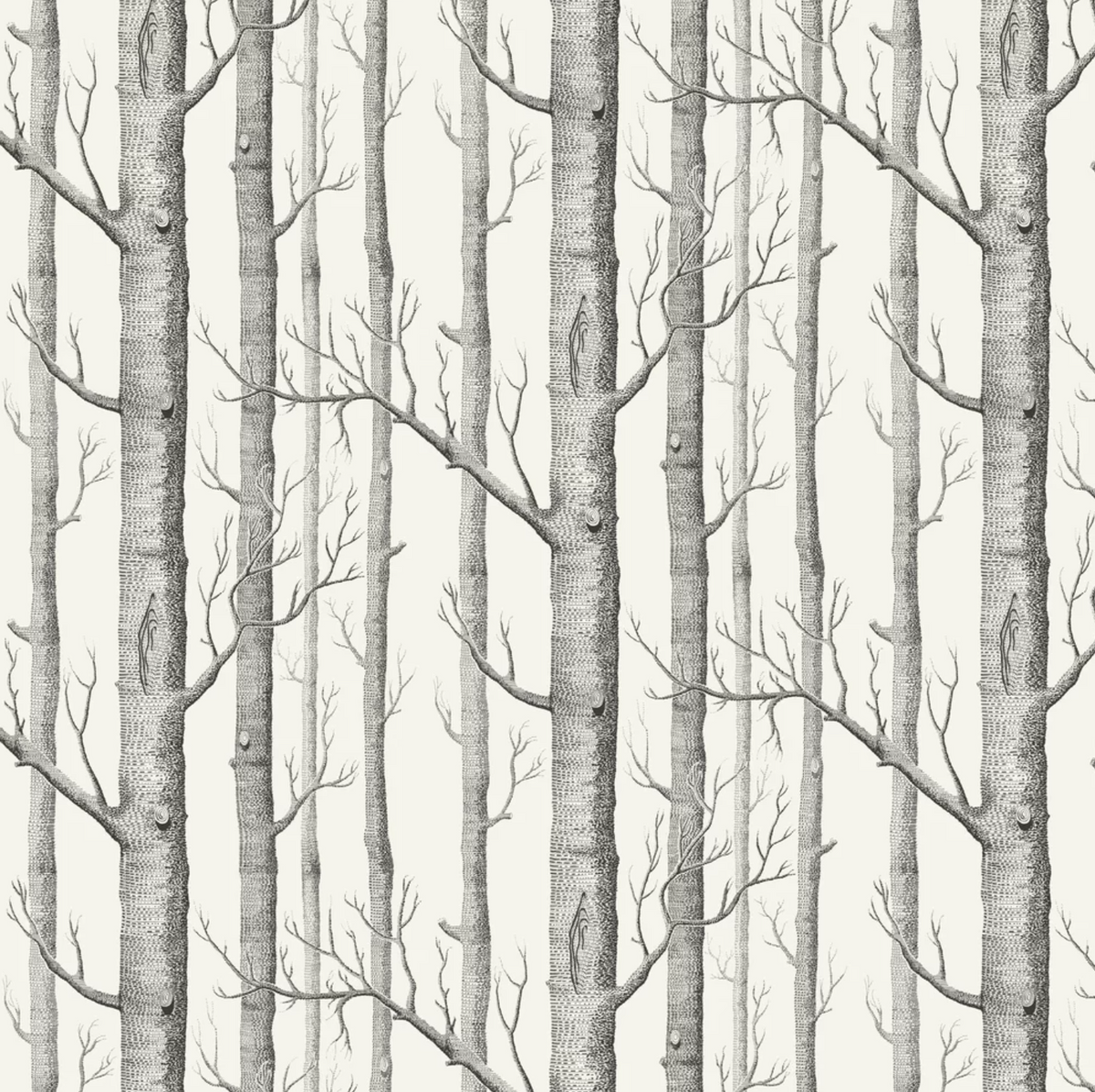 Sample - Woods Wallpaper - Cole & Son - Black/White