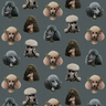 Poodle Parlour Wallpaper - Midnight