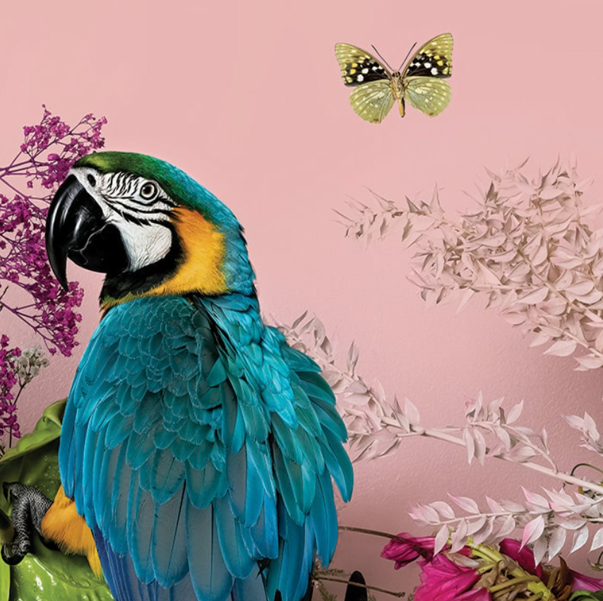 Wonderlust - Custom sized wallpaper mural (per/m2) - Dawn Flight