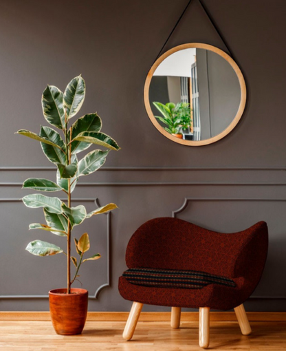 Seslatero Upholstery Fabric - 8 Colours