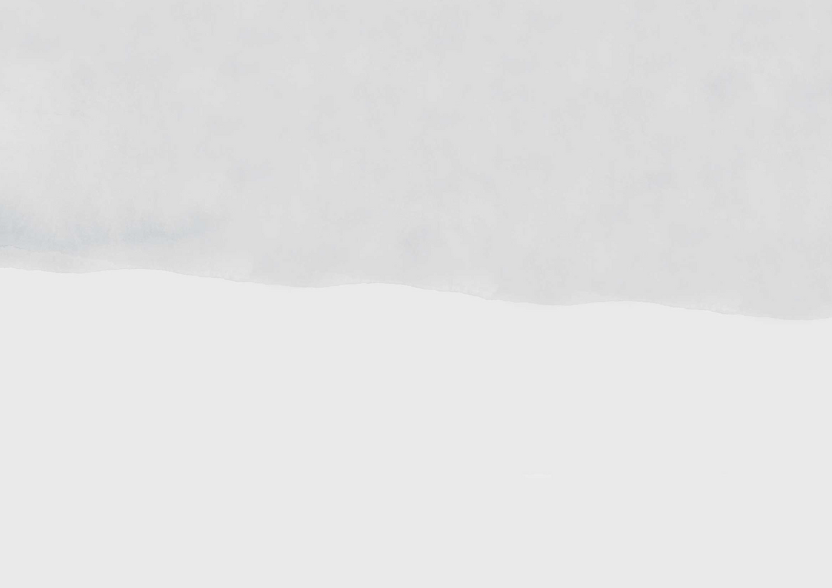Sand - Mist - Custom Sized Wallpaper Mural (per m2)