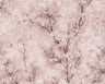 Cherry Blossoms Spring Wallpaper - Blush