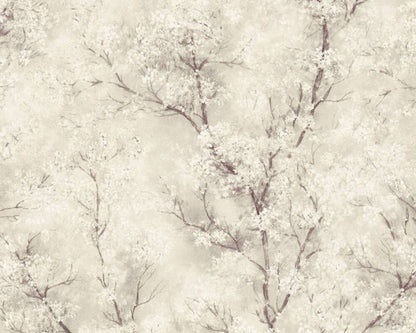 Cherry Blossoms Spring Wallpaper - Cream