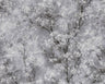Cherry Blossoms Spring Wallpaper - Moody Grey