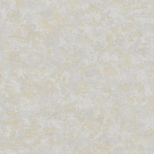 St. Petersberg Coordinates Wallpaper - Grey
