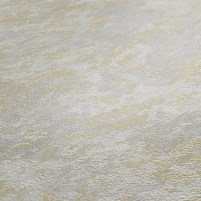 St. Petersberg Coordinates Wallpaper - Beige/Grey
