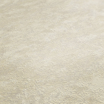 St. Petersberg Coordinates Wallpaper - Creme/White